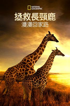 营救长颈鹿之漫漫归途 Saving Giraffes: The Long Journey Home