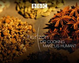 地平线系列：烹饪造就人类吗 Horizon: Did Cooking Make Us Human