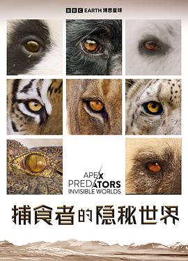 捕食者的隐秘世界 Apex Predators: Invisible Worlds