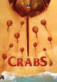 马蹄蟹 Crabs!