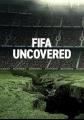 国际足联解密 FIFA Uncovered