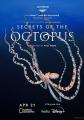 章鱼的秘密 Secrets of the Octopus