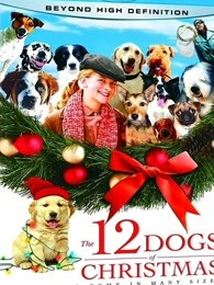 圣诞节的12只小狗海报剧照